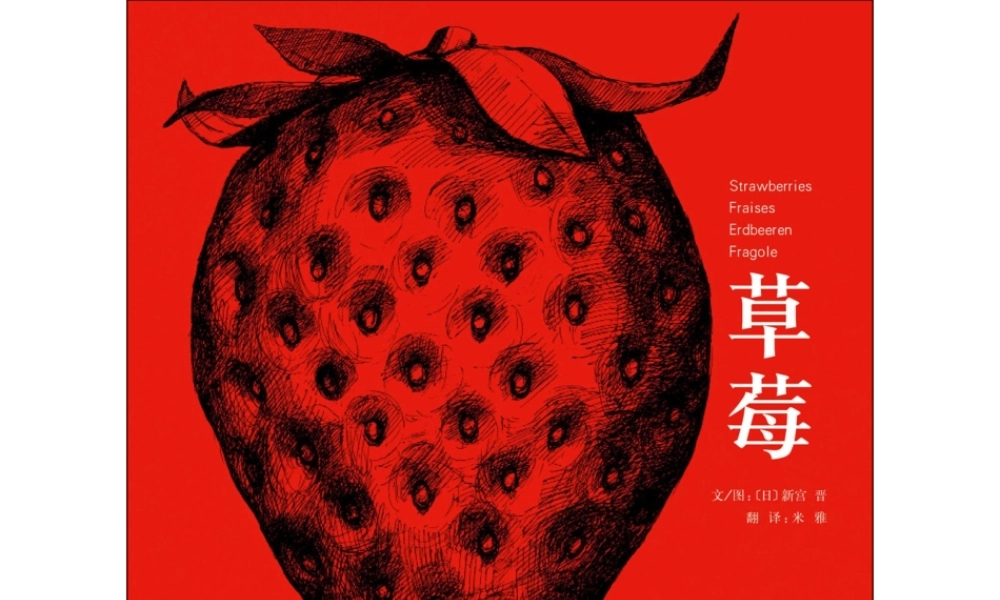 草莓 -印象工作站.ppt