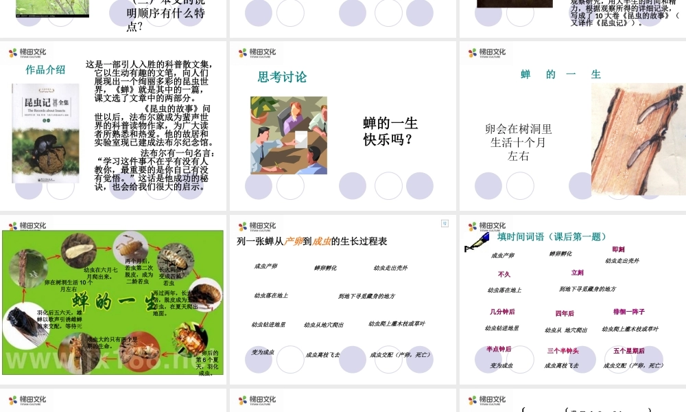 蝉 课件一(1).ppt