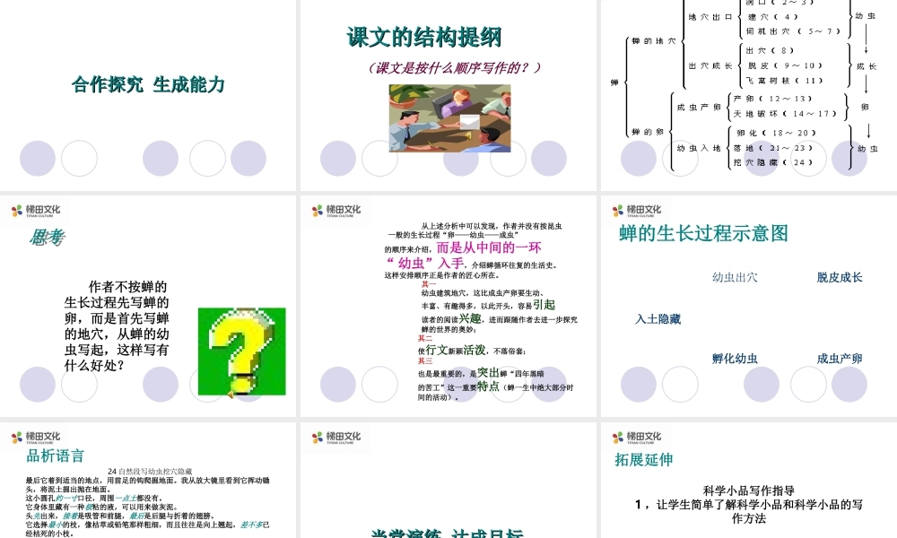 蝉 课件一(1).ppt