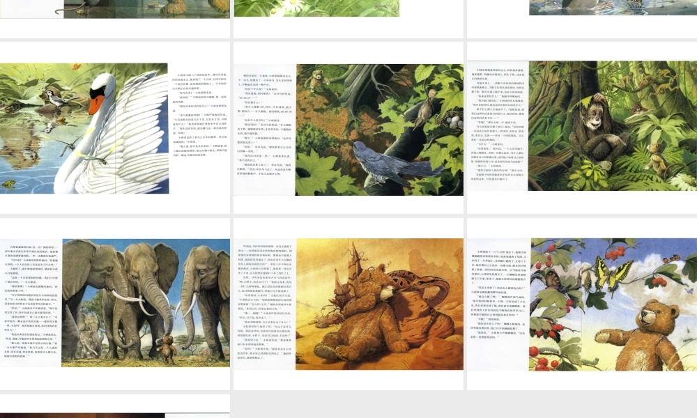 出走的绒布熊.ppt