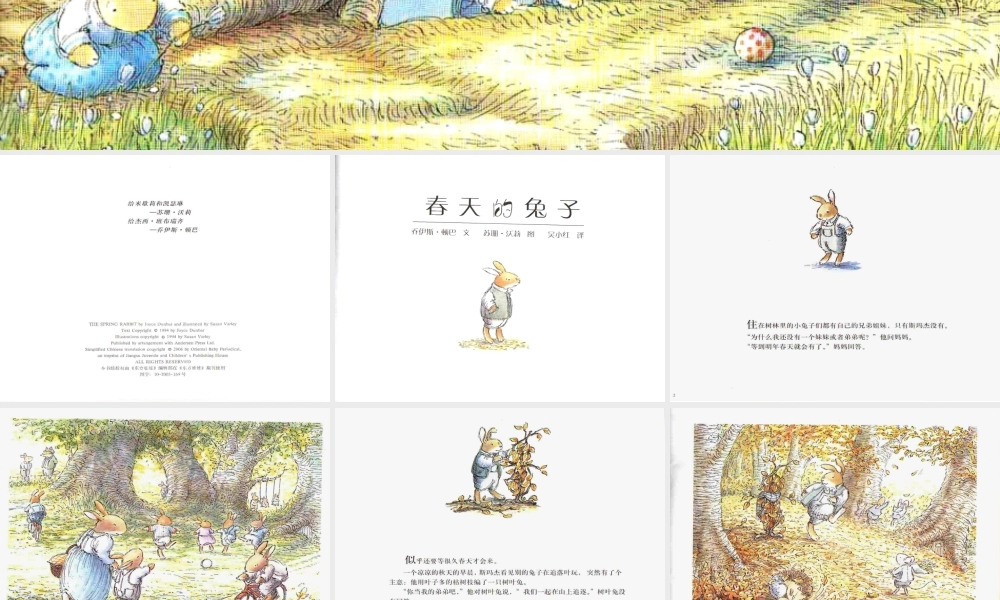春天的兔子 -印象工作站.ppt