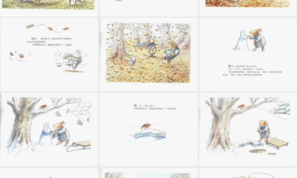 春天的兔子 -印象工作站.ppt