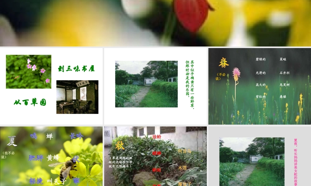 从百草园到三味书屋2.ppt