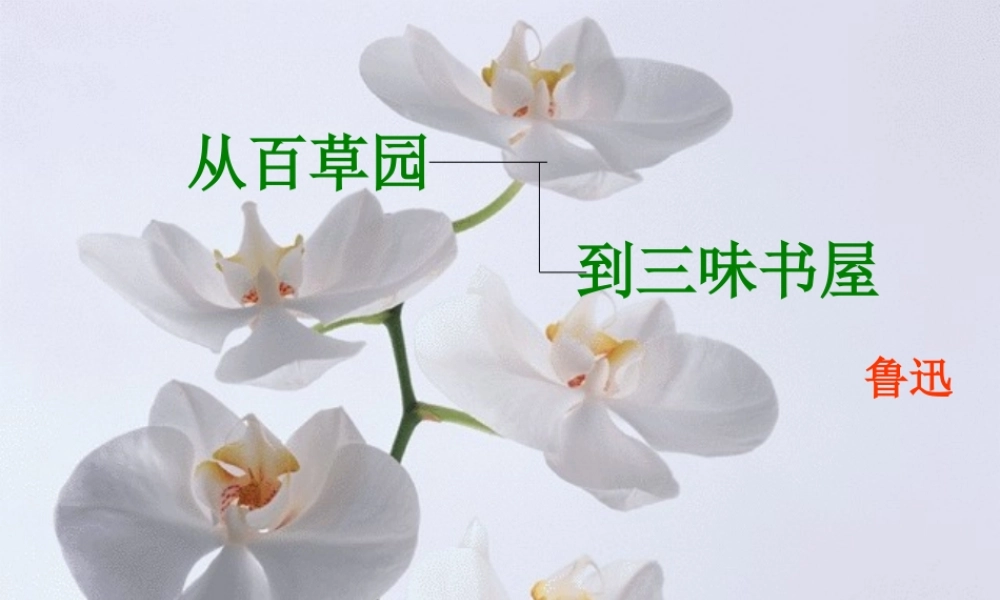 从百草园到三味书屋3.ppt