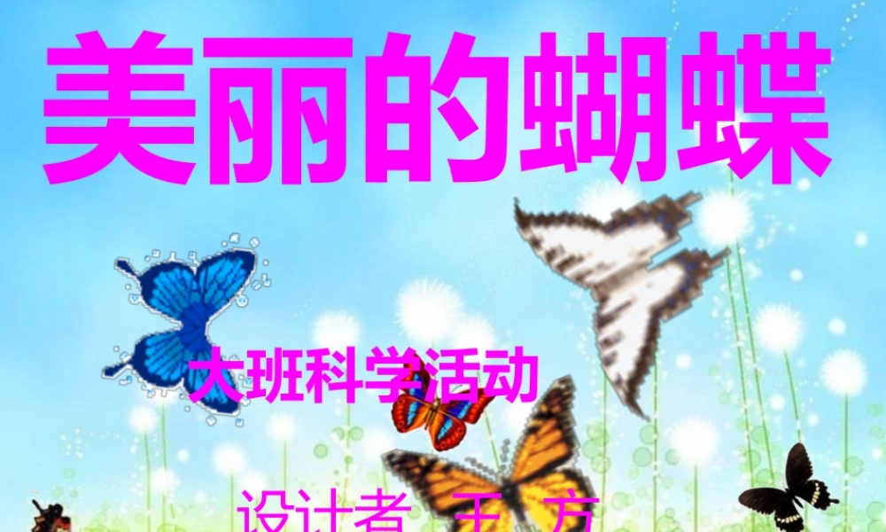 大班科学课件（ppt）：美丽的蝴蝶.ppt