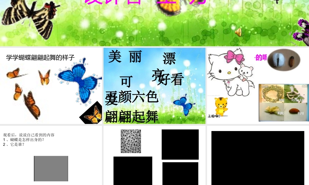 大班科学课件（ppt）：美丽的蝴蝶.ppt