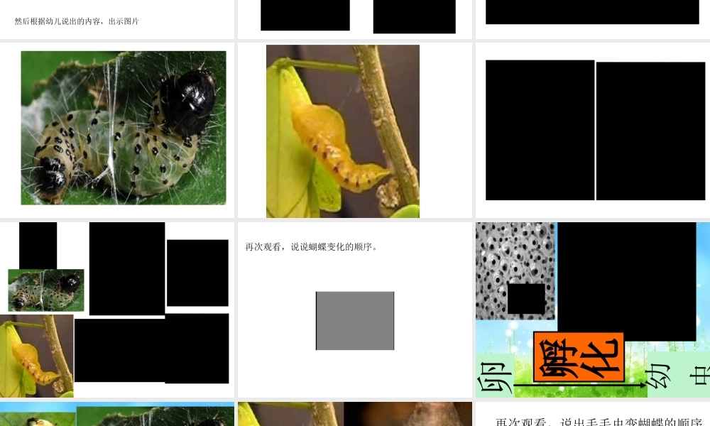 大班科学课件（ppt）：美丽的蝴蝶.ppt