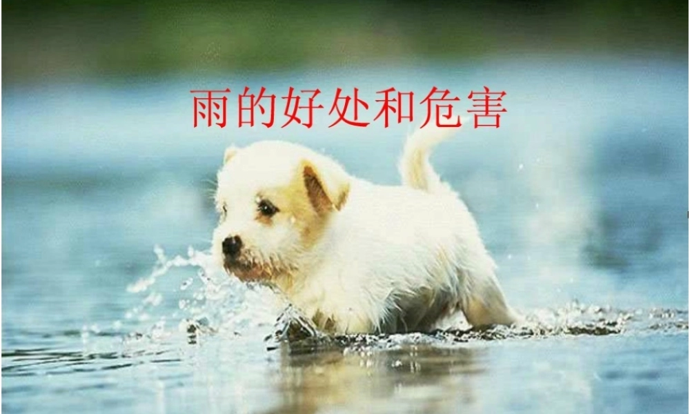 大班科学课件：雨的好处和危害（ppt）.ppt