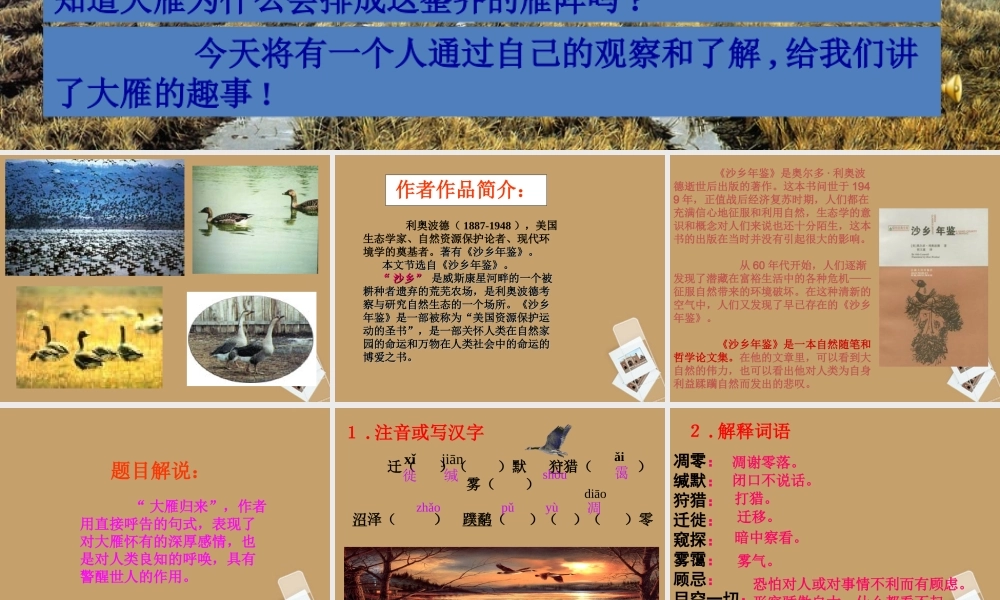 大雁归来 课件2.ppt