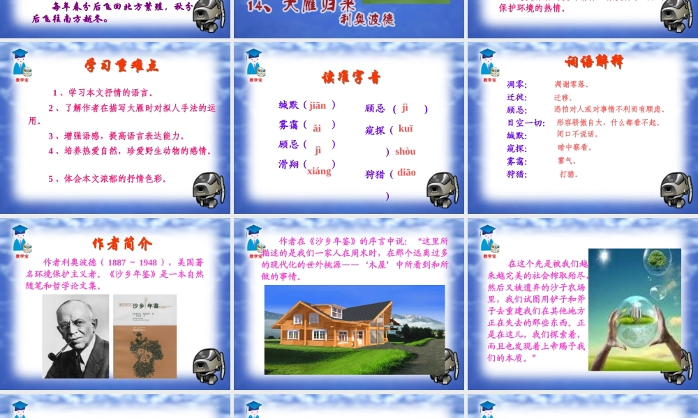 大雁归来 课件1 .ppt