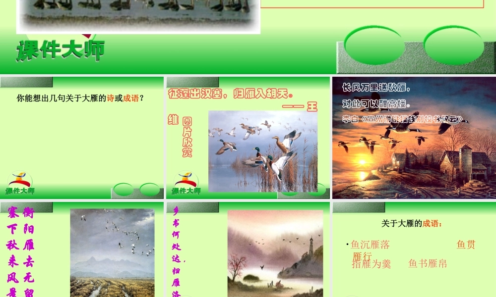 大雁归来 课件5.ppt