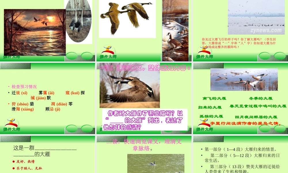 大雁归来 课件5.ppt