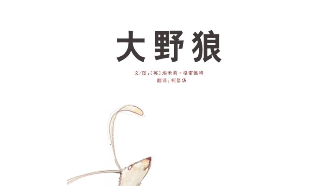 大野狼 -印象工作站.ppt