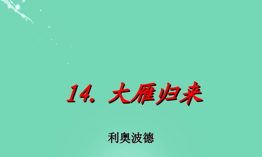 大雁归来 课件4.ppt