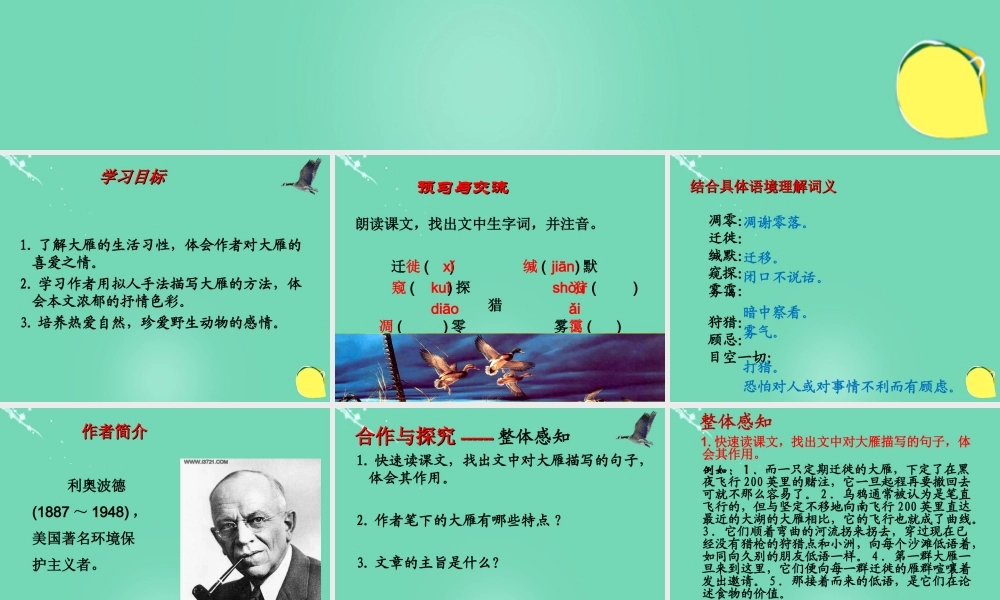 大雁归来 课件4.ppt