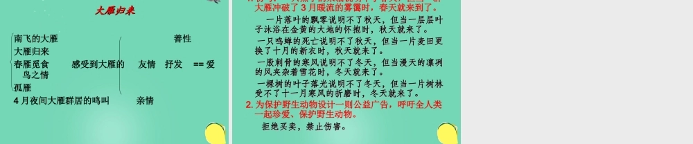 大雁归来 课件4.ppt