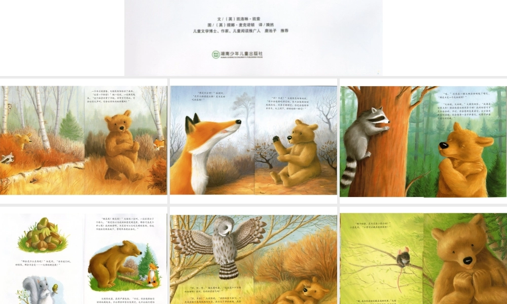 大棕熊的秘密 -印象工作站.ppt