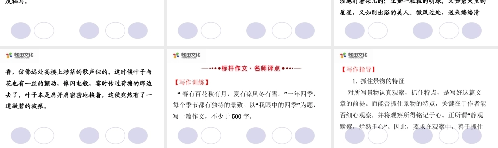 单元写作指导(4).ppt