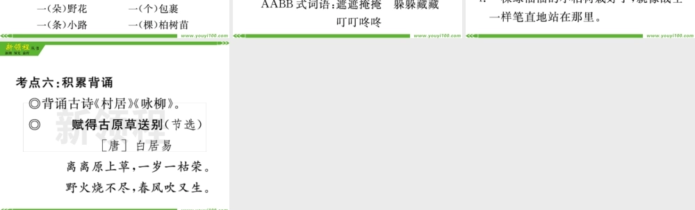 单元考点小结一.pptx