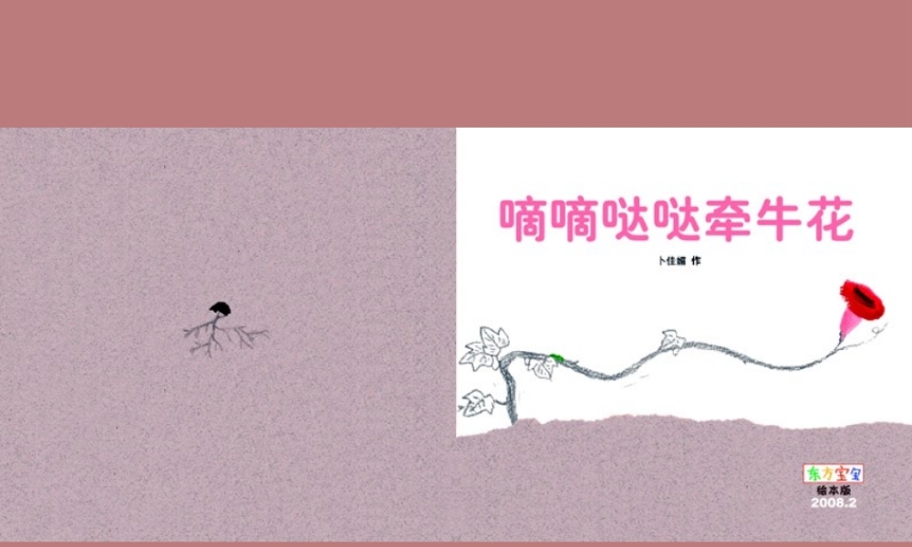 滴滴哒哒牵牛花 -印象工作站.ppt
