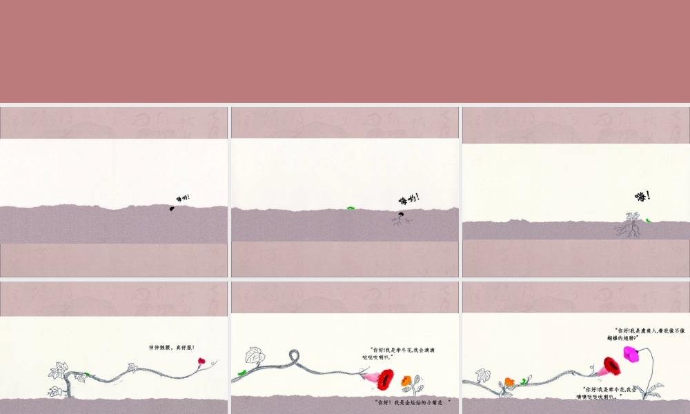 滴滴哒哒牵牛花 -印象工作站.ppt