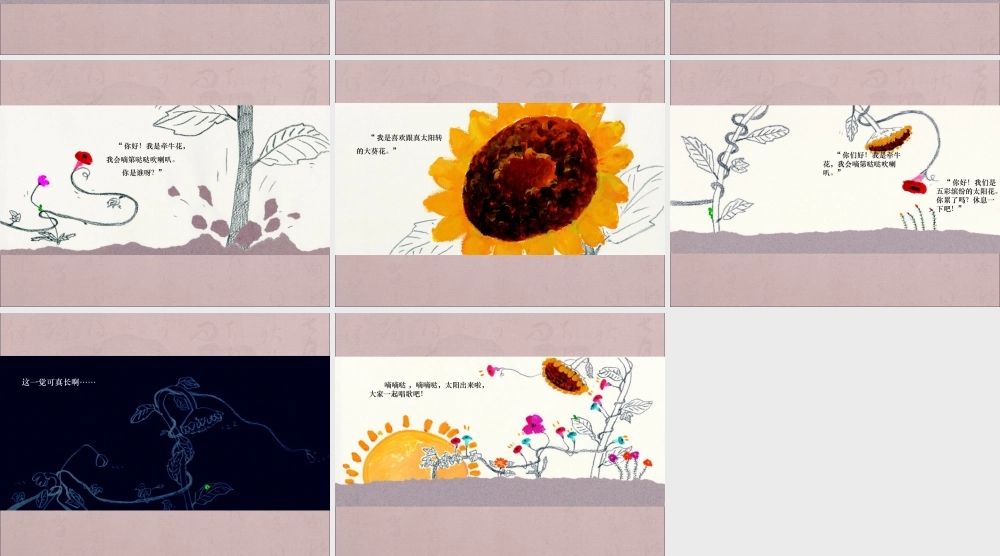 滴滴哒哒牵牛花 -印象工作站.ppt