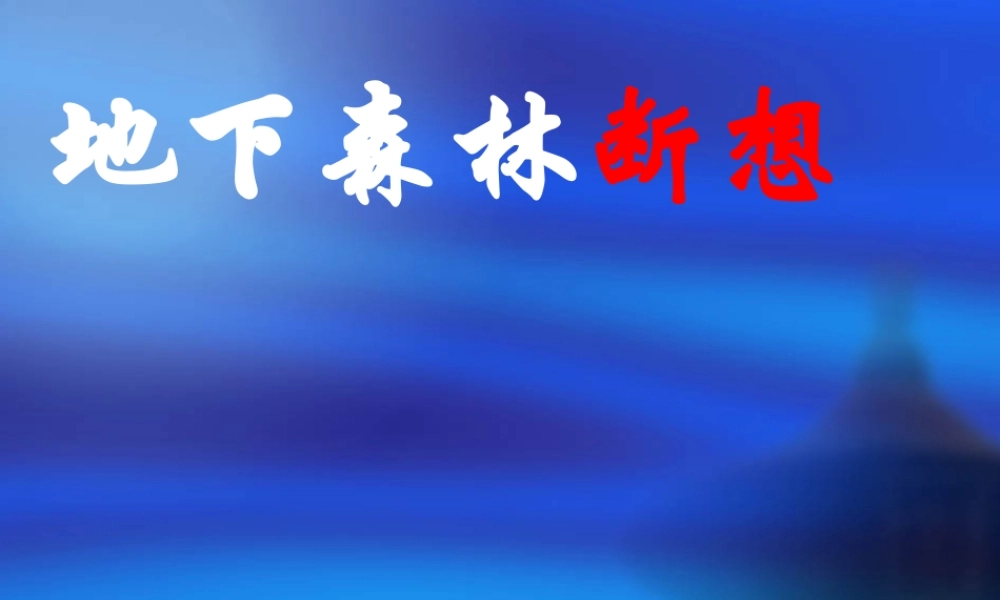 地下森林断想1.ppt