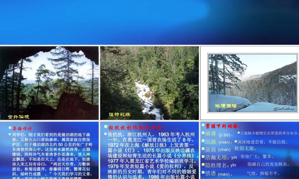 地下森林断想1.ppt