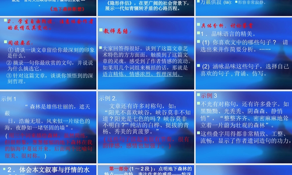 地下森林断想1.ppt