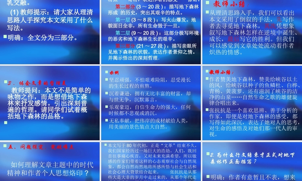 地下森林断想1.ppt