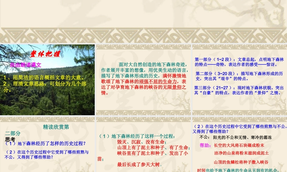 地下森林断想3.ppt