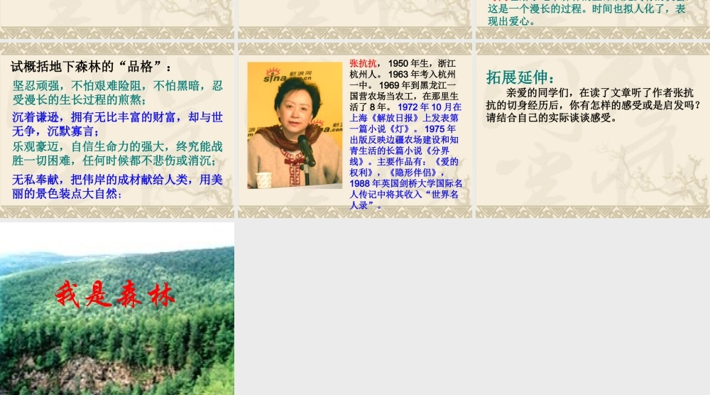 地下森林断想3.ppt