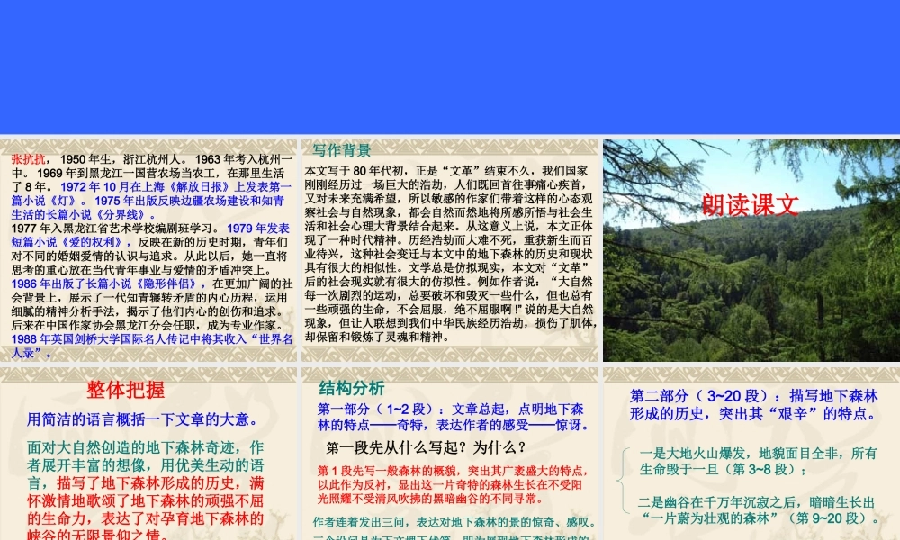 地下森林断想2.ppt