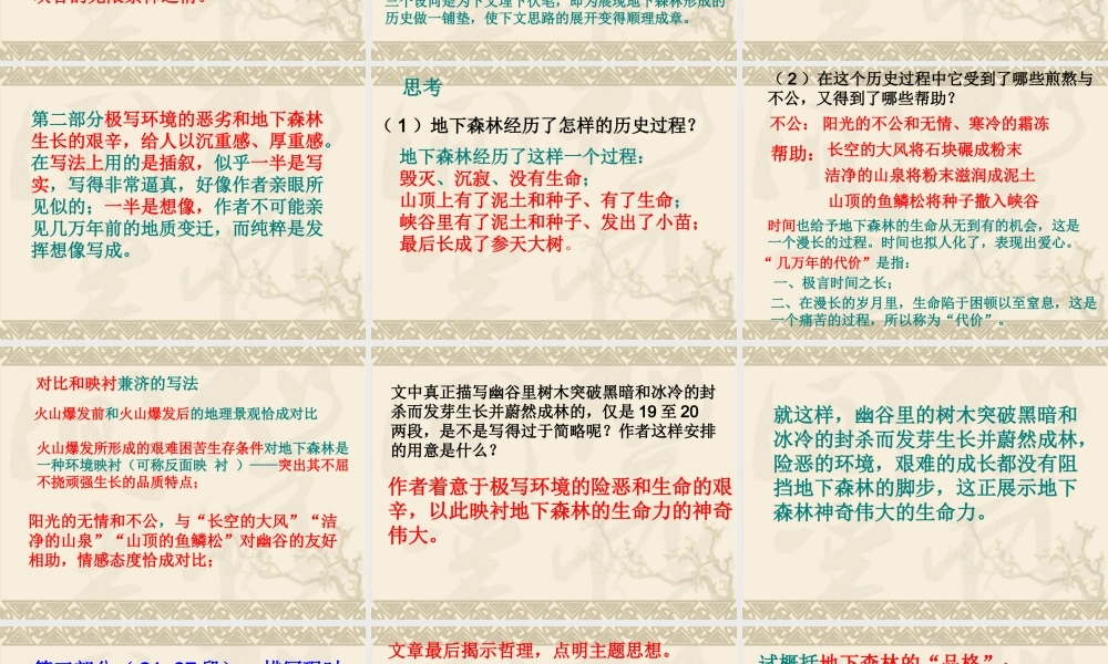 地下森林断想2.ppt