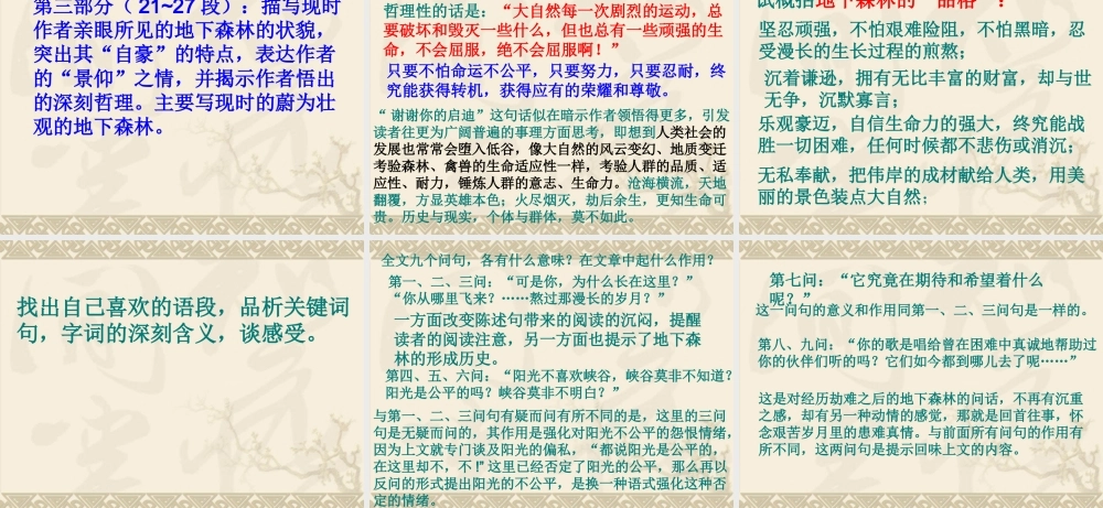 地下森林断想2.ppt