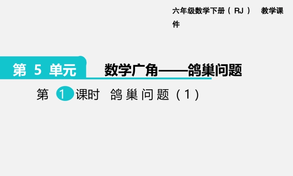 第1课时 鸽巢问题（1）.pptx