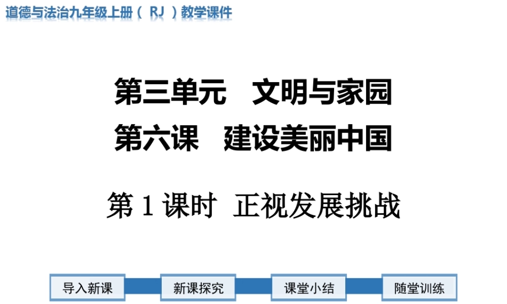 第1课时 正视发展挑战.ppt