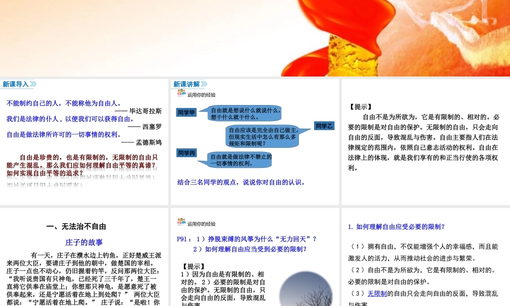 第1课时 自由平等的真谛.ppt