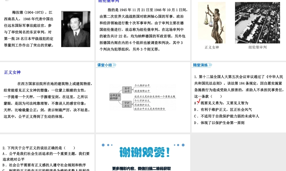 第2课时 公平正义的守护.ppt