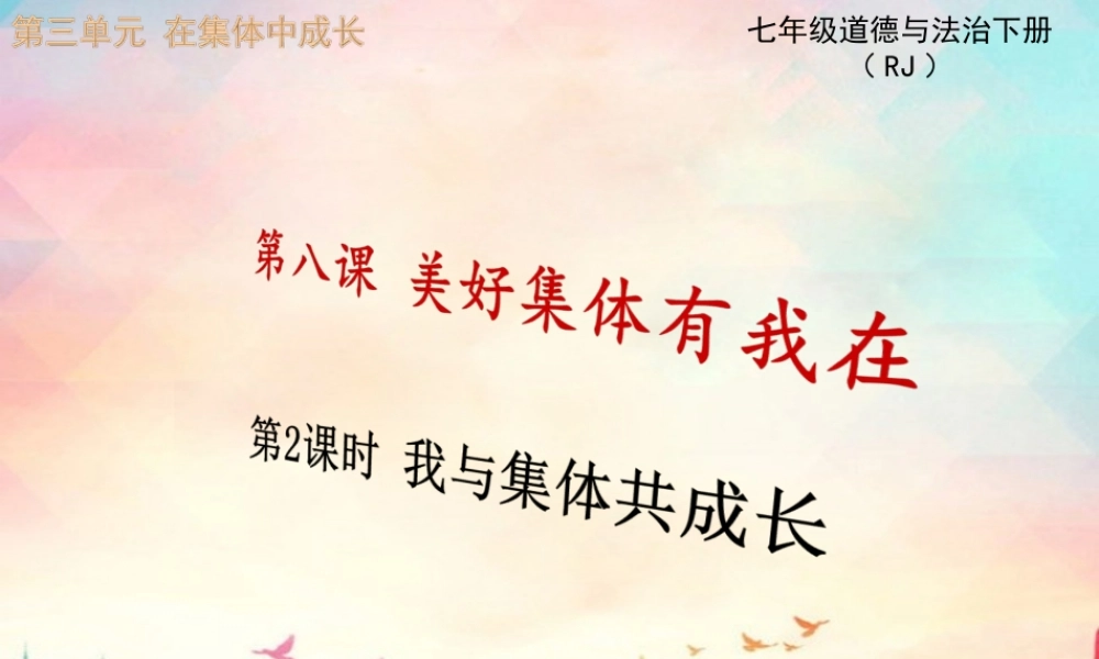 第2课时 我与集体共成长.ppt