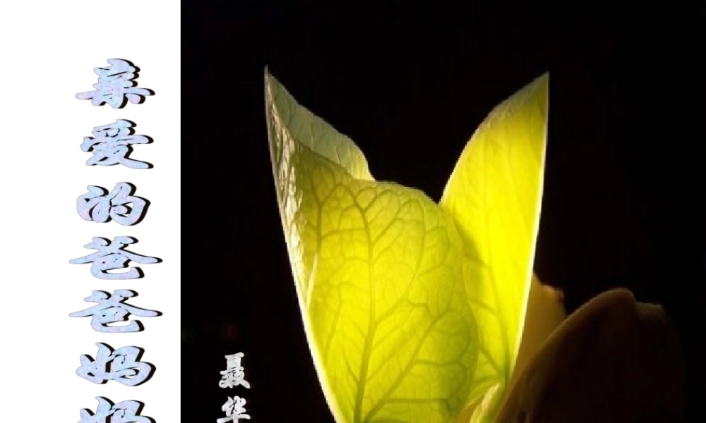 第5课《亲爱的爸爸妈妈》课件（共46张PPT）.ppt