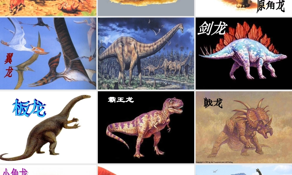 第18课《阿西莫夫短文两篇》精品课件（共71张PPT）.ppt