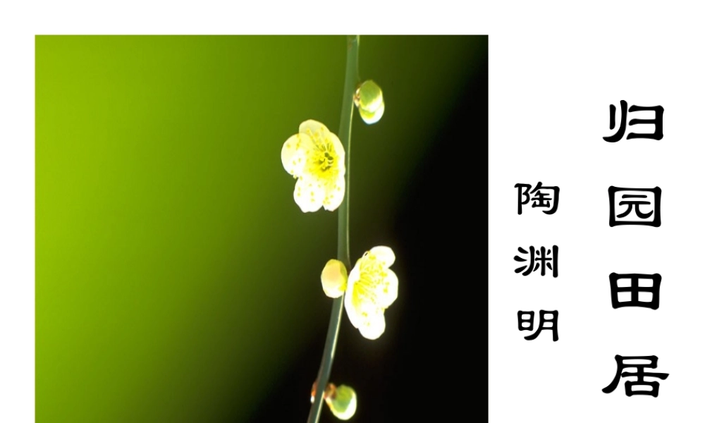 第30课 归园田居25p.ppt