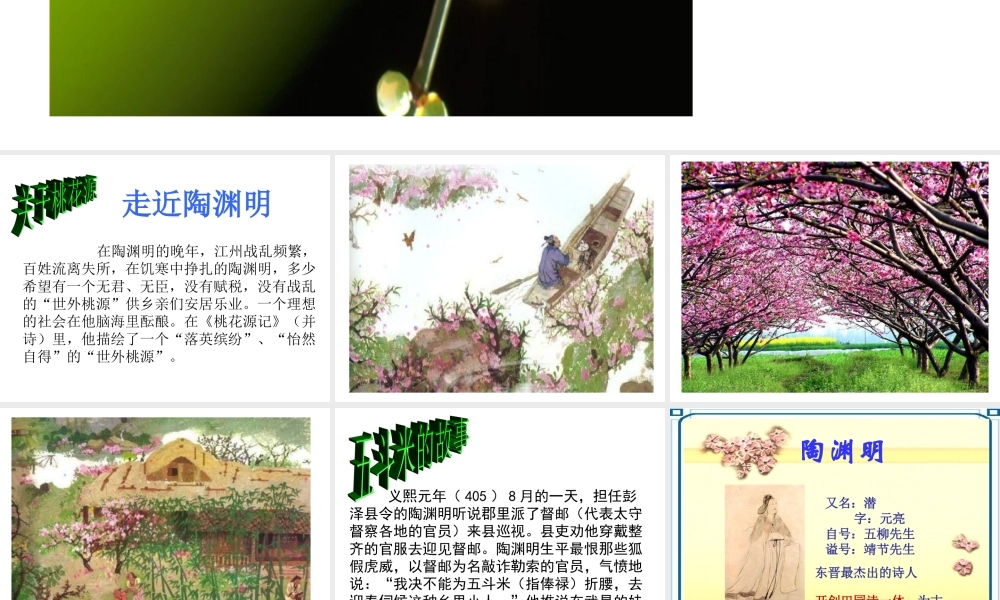 第30课 归园田居25p.ppt