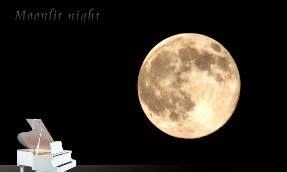 第二单元 自然——孕育艺术的乳汁_第六课 月夜_茅娟_第一课时_K85433_T1601464.ppt