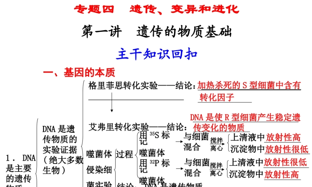 第一讲　遗传的物质基础.ppt