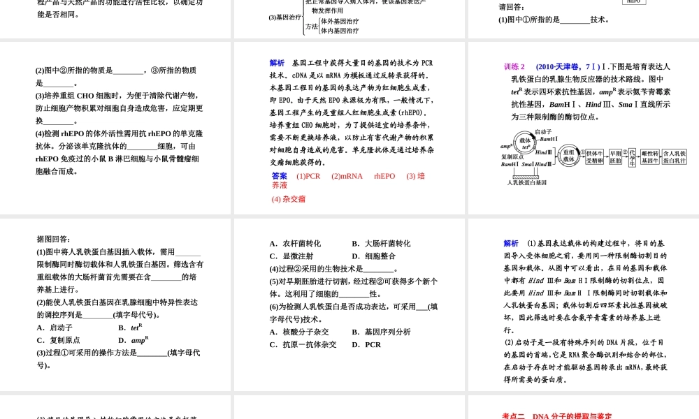第一讲　基因工程和细胞工程.ppt