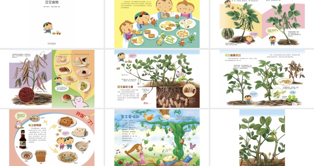 豆豆食物 .pptx