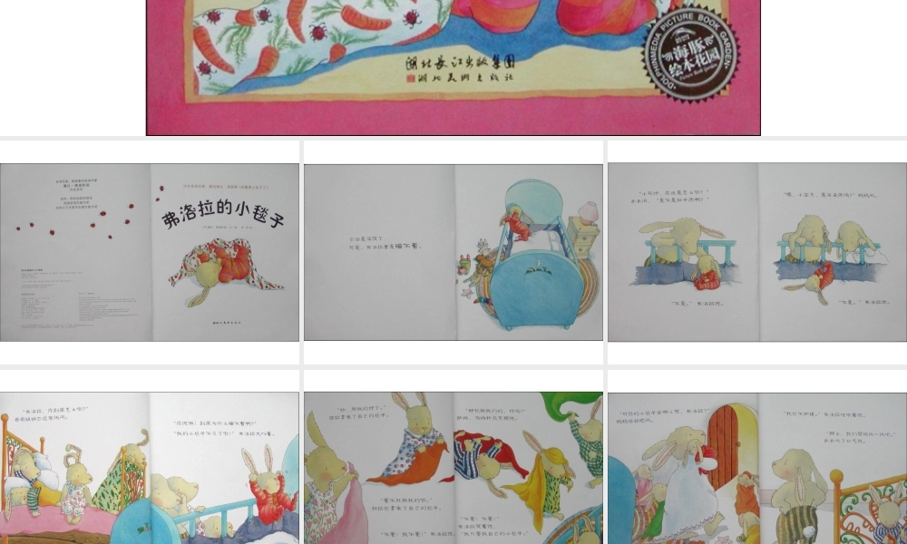 弗洛拉的小毯子x -印象工作站.ppt