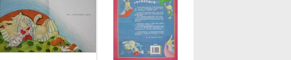 弗洛拉的小毯子x -印象工作站.ppt